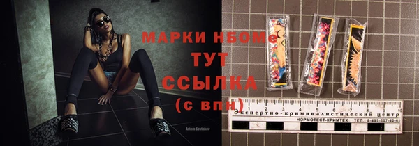 индика Бердск