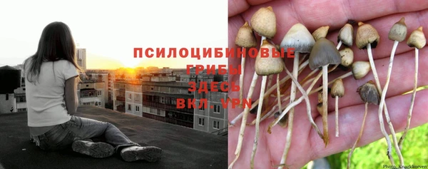 spice Заволжье