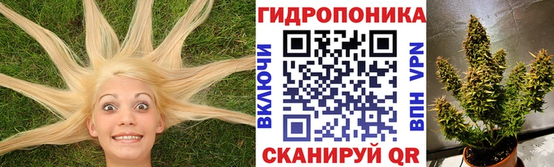 Бошки марихуана конопля Купить закладки Жигулёвск
